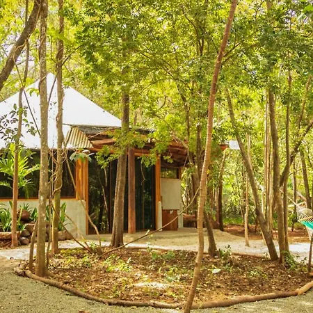 Dreamsea Surf Camp Costa Rica