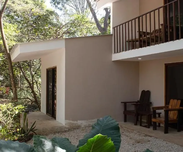 Dreamsea Surf Camp Costa Rica Hotel